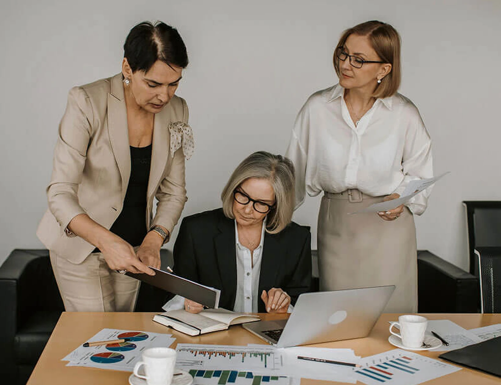 PrimeVista member platform